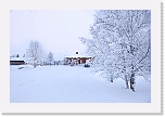 winter dayIMG_0786 * 3648 x 2432 * (1.95MB)